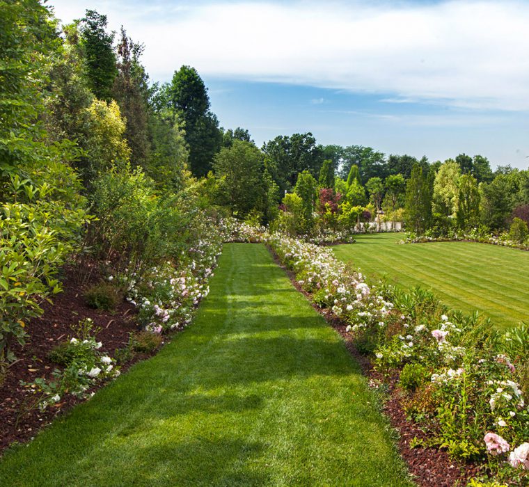 SF_fotografie-immagini-esempi-realizzazione-progettazione-giardino-giardini-Brusaporto-Bergamo-3