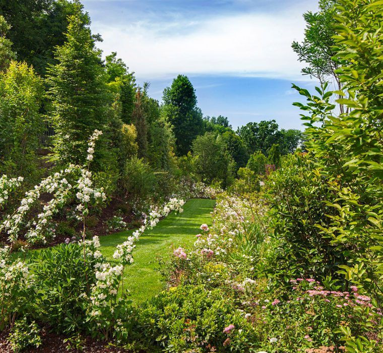 SF_fotografie-immagini-esempi-realizzazione-progettazione-giardino-giardini-Brusaporto-Bergamo-4